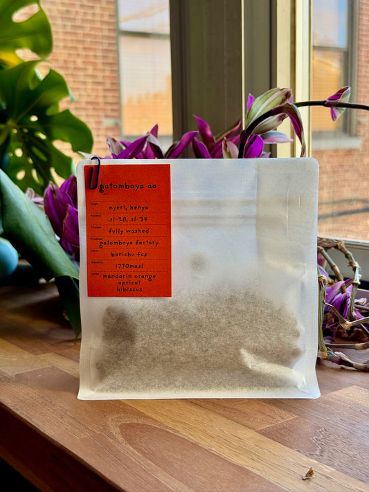 GATOMBOYA AA - SL28 & SL34, FULLY WASHED - KENYA