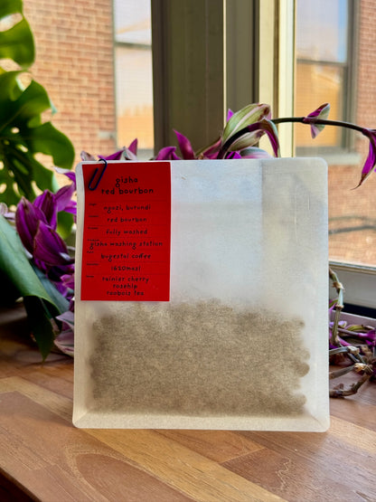 GISHA RED BOURBON - RED BOURBON, FULLY WASHED - BURUNDI
