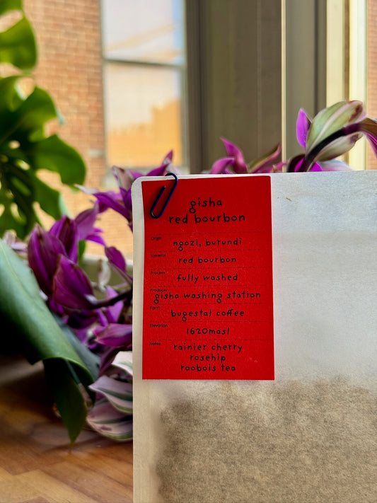 GISHA RED BOURBON - RED BOURBON, FULLY WASHED - BURUNDI