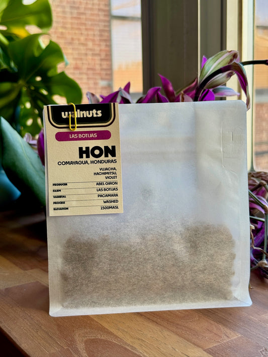 LAS BOTIJAS - PACAMARA, WASHED - HONDURAS