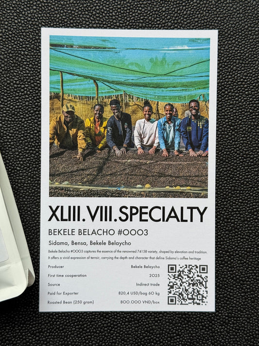 BEKELE BELACHO #0003 - 74158, NATURAL - ETHIOPIA