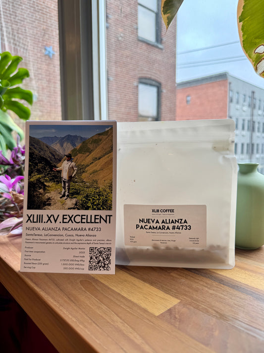 NUEVA ALIANZA #4733 - PACAMARA, WASHED - PERU