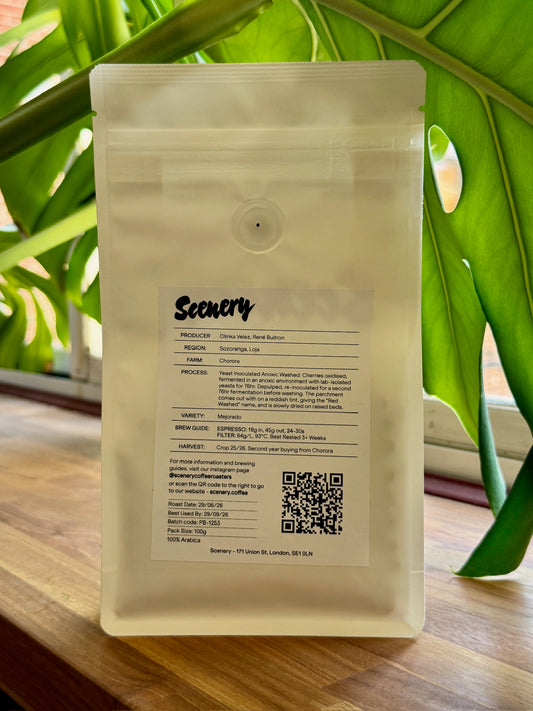 CHORORA "RED WASHED" MEJORADO [25/26] - MEJORADO, YEAST INOCULATED ANOXIC WASHED - ECUADOR