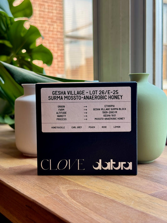 DATURA x CLOVE - GESHA 1931, MOSSTO-ANAEROBIC HONEY - ETHIOPIA