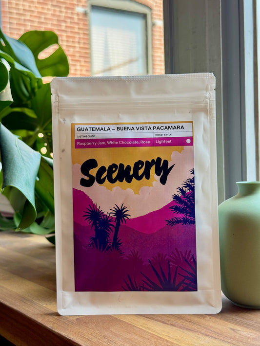 FREDY ORANTES' BUENA VISTA [25/26] - PACAMARA, TRADITIONAL NATURAL - GUATEMALA
