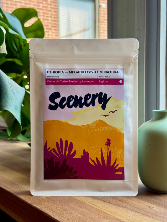MEGADU "CHERRY ASCENSION" LOT-H - 74112 & 74158, CARBONIC MACERATED NATURAL - ETHIOPIA