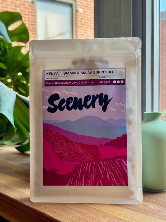 WAMUGUMA AA ESPRESSO - SL28, SL34, RUIRU 11, BATIAN (AA), TRADITIONAL WASHED - KENYA